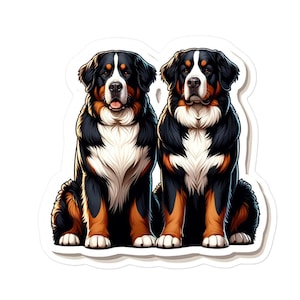 May include: Two Bernese Mountain Dogs sitting side-by-side. The dogs are both black, brown, and white with long fur. They are looking at the camera with their tongues slightly out.