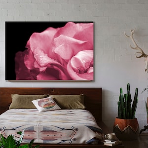 Rose Floral Print, Pink Rose Close up, Floral Wall Decor, Floral Print