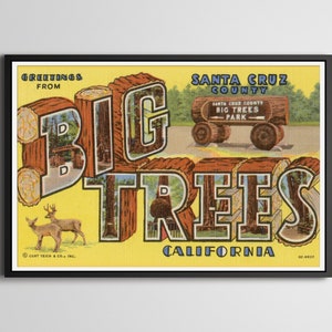 ¡PÓSTER de viaje vintage de árboles grandes! - hasta 24x36 - Postal de carta grande - Secoyas - San Francisco - Vintage - Antiguo - California - Impresión