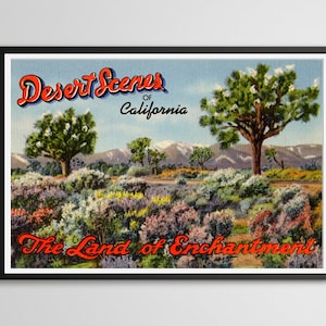 POSTER do cartão da árvore de Joshua do deserto de Califórnia do vintage! (até tamanho normal 24" x 36") - Southwest Decor - Route 66 - 1950 - Plantas - Cactos