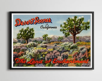 Vintage California Desert Postcard Poster: Joshua Tree Art Print