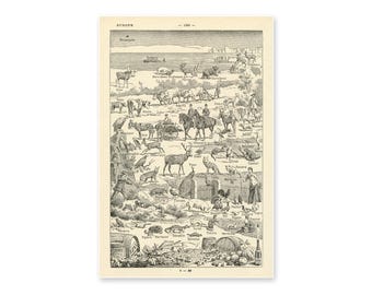 Vintage Style European Culture Poster - 1931 French Dictionary Chart Image Art