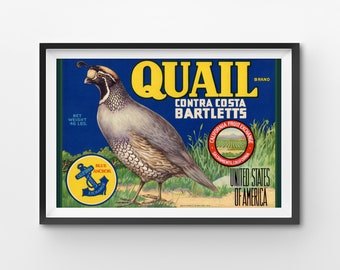 1919 Quail Pears Poster: Vintage Fruit Crate Label Art