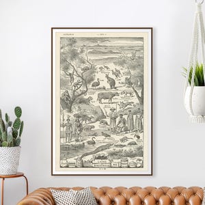 Oceania Digital Print - Vintage French Dictionary Poster Art - Anthropology - Culture