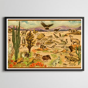 1930&#39;s Desert Wildlife POSTER! (24&quot; x 36&quot; or Smaller) - Vintage Postcard - Southwest - Animals - Cactus - Roadrunner - National Parks