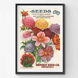 1929 Floral Poster: Vintage Seed Catalogue Cover Art