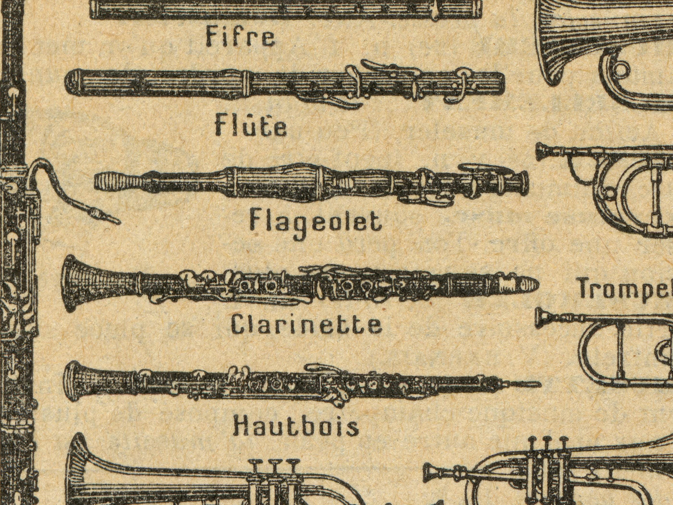 Vintage Musical Instruments Poster Chart – 1920 French Language ...