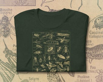 Vintage Insect Illustration T-Shirt: Retro Entomology Print, Nature Lover Gift