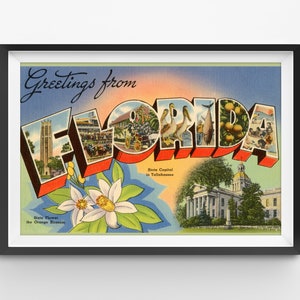 POSTER della cartolina vintage FLORIDA! - dimensione intera 24 x 36 o più piccola - Viaggio vintage - Stati Uniti - Tallahassee - Fiori d'arancio - Stati del sud