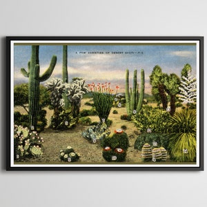 CARTAZ dos cactos do deserto do vintage! (até tamanho real 24 x 36) - 1945 - Cartão postal - Cacto - Sudoeste - Antiguidade - Joshua Tree - Parques Nacionais