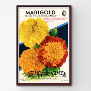Vintage POSTER Blumensamen-Tüte! (bis 60cm x 92cm) - Blumen - Ringelblumen - Dekoration - Bauernhaus - Bauernhof - Garten - Pop Art - Küche