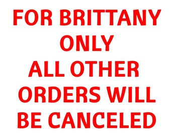 Brittany Only- Custom Order