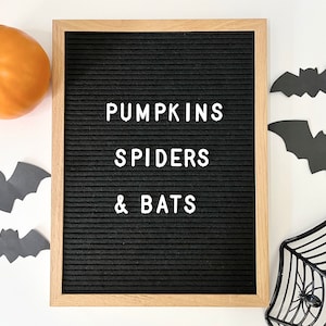Halloween Unit Study, Pumpkin Unit Study, Spider Unit Study, Bat Unit Study, Homeschool, Halloween Activity, Learning Material, Fall