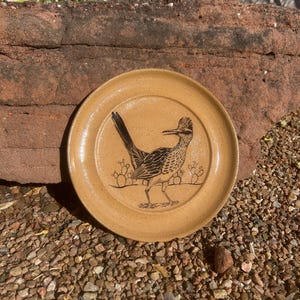 Roadrunner Plate