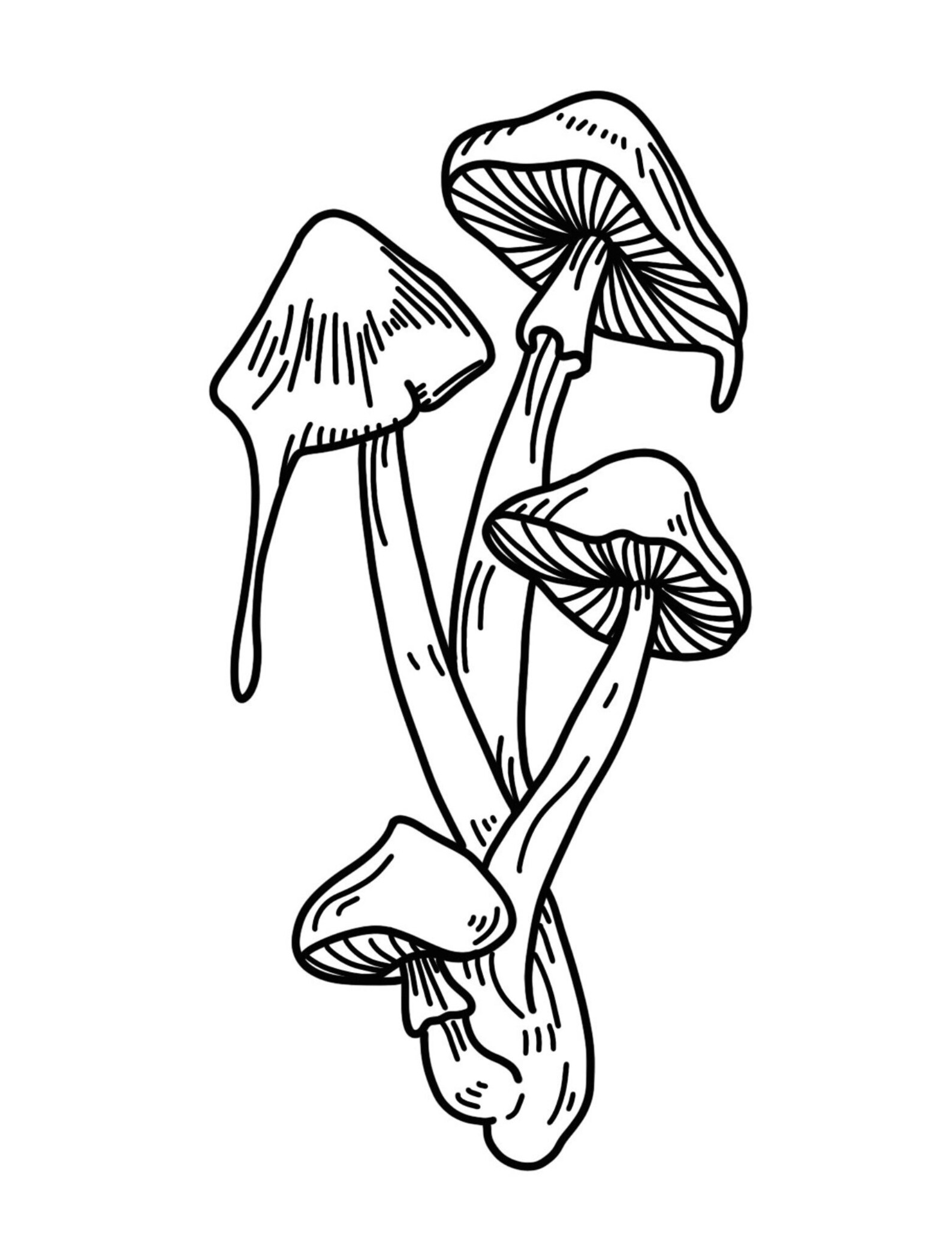 Drippy Mushroom Artwork Coloring Page Cottage Core Coloring - Etsy