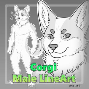 May include: A digital illustration of a male corgi in a line art style. The image features a full body outline and a detailed close-up of the corgi's face. Text in green and yellow reads "Corgi Male LineArt".