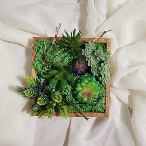Moss Succulent Wall Art| Moss Succulent Picture | Preserved Moss Faux Succulent Home Décor| Wall Decor| Home and living| House Warming Gift