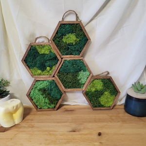 Honeycomb Moss Art