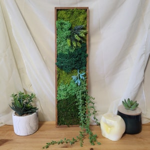 Moss Succulent Wall Art| Preserved Moss and Faux Succulent Home Decor| Moss and Vines|