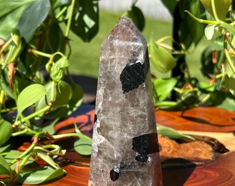 Beautiful Black Tourmaline with Feldspar Tower!