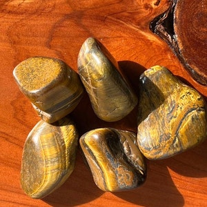 Op de afbeelding: Zes getrommelde tijgeroogstenen in verschillende tinten bruin en goud. De stenen zijn glad en gepolijst, met een natuurlijke, aardse uitstraling.