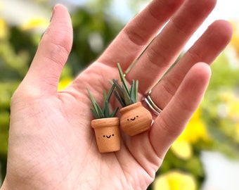 Tiny Plant Buddy Fairy Garden Terracotta Potted Plant, Pocket Buddy Desk Plant, Small Pocket Friend, Plant Friend, Miniature Gift, Tiny Gift