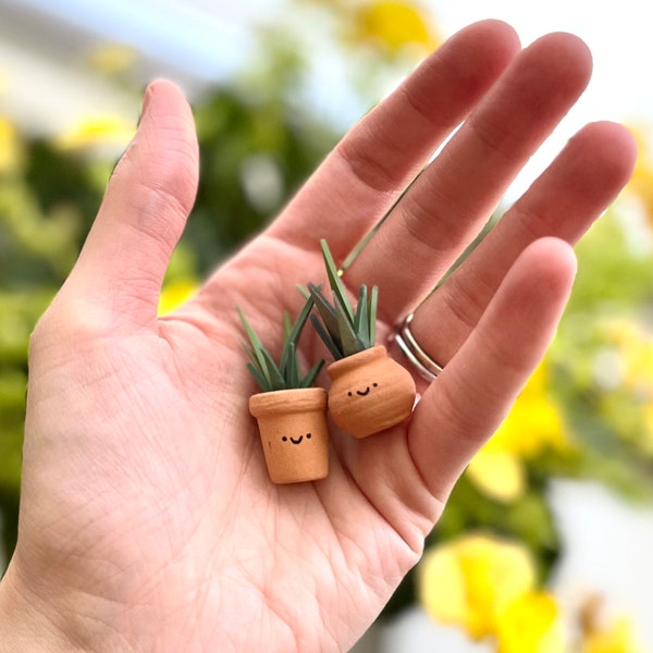 Tiny Plant Buddy Fairy Garden Terracotta Potted Plant, Pocket Buddy Desk Plant, Small Pocket Friend, Plant Friend, Miniature Gift, Tiny Gift