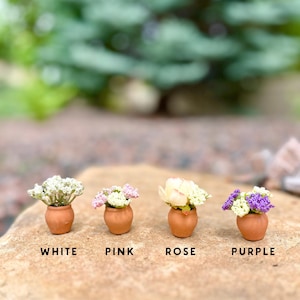 Bomboniere per la festa nuziale, piccole piante carine in terracotta, piccoli fiori, regali all&#39;ingrosso per feste, grazie per il regalo della festa nuziale, mini
