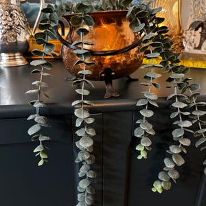 May include: A hammered copper pot with three dark metal feet and a black handle, containing a trailing artificial eucalyptus plant with muted green, round leaves that drape over the sides of the metallic vessel.