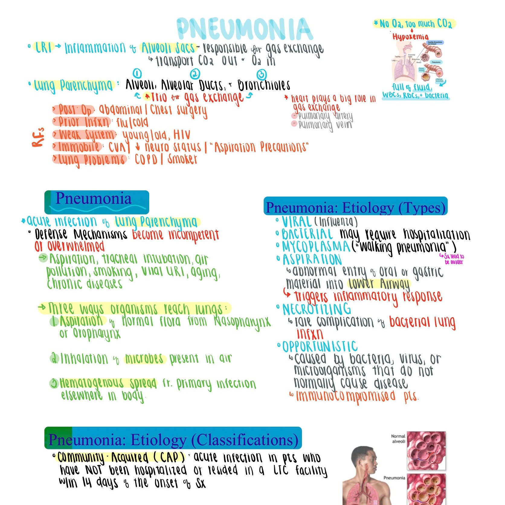 Pathophysio Notes Pathophysiology Notes - Respiratory System - Etsy