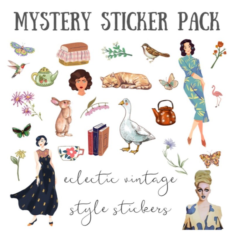 Mystery Sticker Pack - Etsy