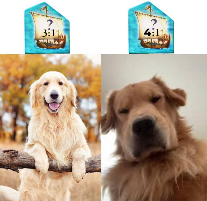 K&ouml;nnte beinhalten: Ein geteiltes Bild mit zwei Golden Retriever Hunden. Links ist ein Hund mit seinen Pfoten auf einem Baumstamm zu sehen, rechts eine Nahaufnahme eines Hundes. &Uuml;ber jedem Hund befindet sich eine Grafik eines Schiffes mit einem Fragezeichen und dem Text 3:11 oder 4:11.