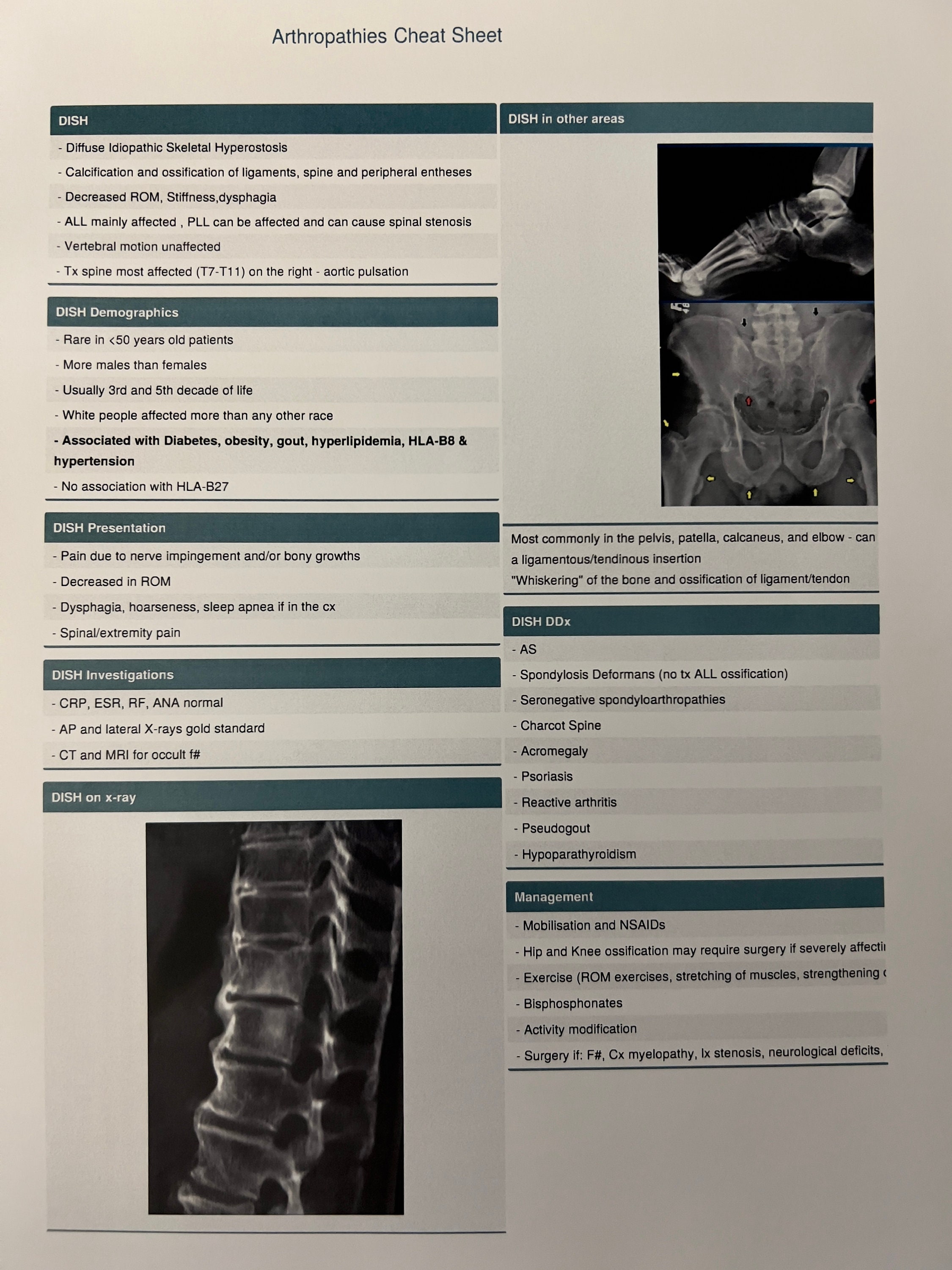 ARRT Board Exam Study Guide Digital Copy Radiography Exam Rad Tech Boot ...