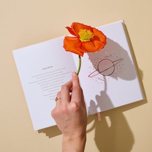 Listen B*tch Affirmation Journal: Guided Self-Care, Gratitude (A5 Size) image 3