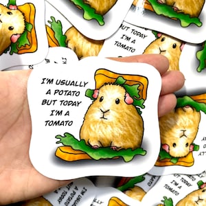 Large Guinea Pig Stickers | Animal Stickers | Waterproof, Weatherproof Vinyl Decal | Laptop, Water Bottle, Gifts, Planner, Birthday