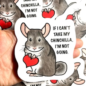 Large Chinchilla Sticker | Animal Stickers | Waterproof, Weatherproof Vinyl Decal | Laptop, Water Bottle, Car, Gifts, Planner, Birthday