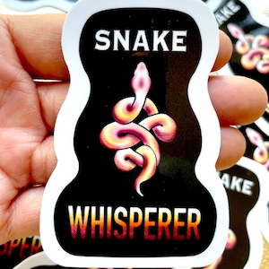 Snake Stickers | Reptile Stickers | Animal Stickers | Waterproof, Weatherproof Vinyl Decal | Laptop, Water Bottle, Gifts, Planner