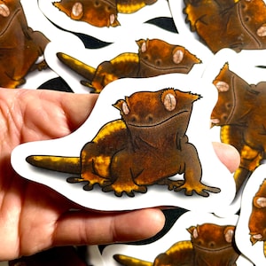 Crested Gecko Stickers | Lizard Stickers | Reptile Stickers | Waterproof, Weatherproof Vinyl Decal | Laptop, Water Bottle, Gifts