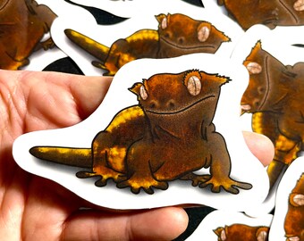 Gecko Aufkleber | Eidechse Sticker | Reptil Aufkleber | Wasserdichter, wetterfester Vinyl-Aufkleber | Laptop, Wasserflasche, Geschenke