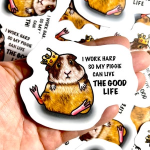 Stickers cochon d'Inde | Stickers animaux | Décalcomanie en vinyle imperméable et résistante aux intempéries | Ordinateur portable, Bouteille d'eau, Cadeaux, Agenda, Anniversaire