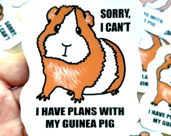 Large Guinea Pig Stickers | Animal Stickers | Waterproof, Weatherproof Vinyl Decal | Laptop, Water Bottle, Gifts, Planner, Birthday
