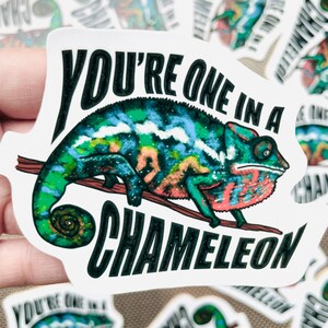 Chameleon Stickers | Lizard Sticker | Reptile Stickers | Waterproof, Weatherproof Vinyl Decal | Laptop, Water Bottle, Gift, Planner