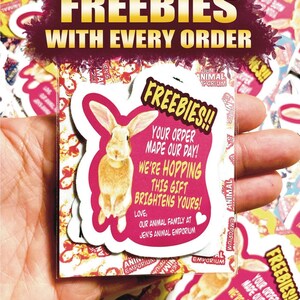 May include: A stack of pink and yellow stickers with a bunny rabbit illustration. The stickers say "Freebies!! Your order made our day! We're hopping this gift brightens yours! Love, our animal family at Jen's Animal Emporium."