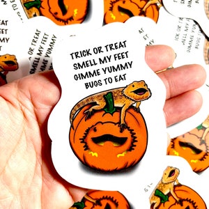 Bearded Dragon Stickers | Halloween Stickers | Reptile Stickers | Waterproof Weatherproof Vinyl Decal | Laptop, Water Bottle, Gifts