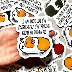 Grand sticker cochon d'Inde | Stickers drôles de cochon d'Inde | Décalcomanie en vinyle imperméable et résistante aux intempéries | Ordinateur portable, Bouteille d'eau, Cadeaux, Agenda, Anniversaire