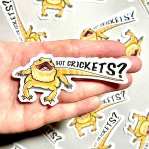 Bearded Dragon Stickers | Lizard Stickers | Reptile Stickers | Waterproof, Weatherproof Vinyl Decal | Laptop, Water Bottle, Gifts