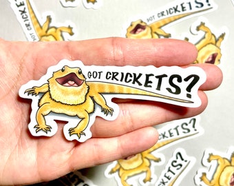 Bearded Dragon Stickers | Lizard Stickers | Reptile Stickers | Waterproof, Weatherproof Vinyl Decal | Laptop, Water Bottle, Gifts