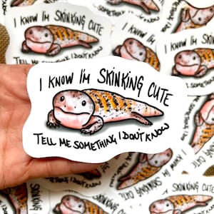 Blaue Zunge Skink Aufkleber | Skink Aufkleber | Reptil Aufkleber | Wasserdichter wetterfester Vinyl-Aufkleber | Laptop, Wasserflasche, Geschenke