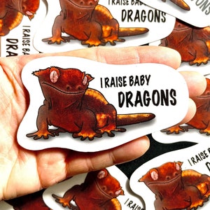 Crested Gecko Stickers | Lizard Stickers | Reptile Stickers | Waterproof, Weatherproof Vinyl Decal | Laptop, Water Bottle, Gifts