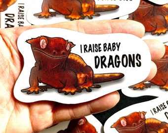 Gecko Aufkleber | Eidechse Sticker | Reptil Aufkleber | Wasserdichter, wetterfester Vinyl-Aufkleber | Laptop, Wasserflasche, Geschenke